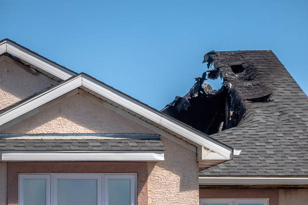 Top rated local Board Up Services specialists in Spring Valley, MN